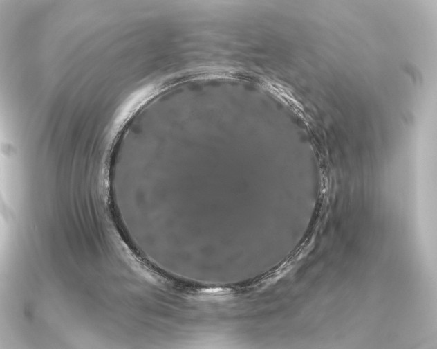 X0000091170053200708091211