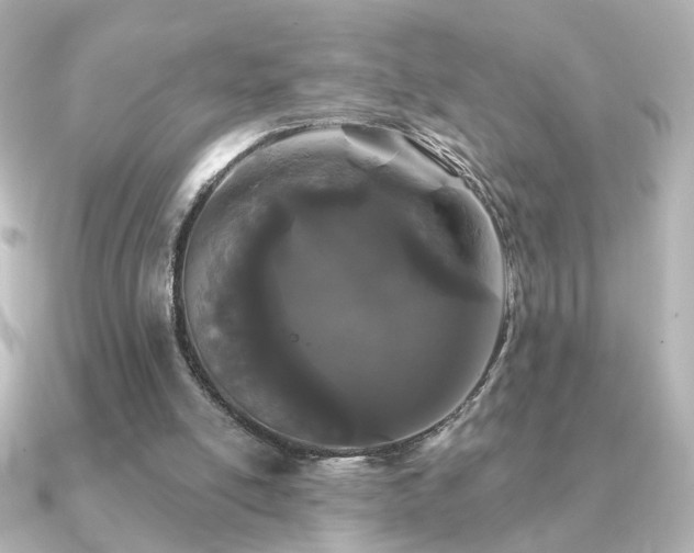 X0000091170054200708091211