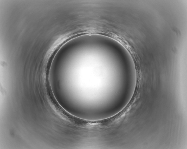 X0000091170055200708091211