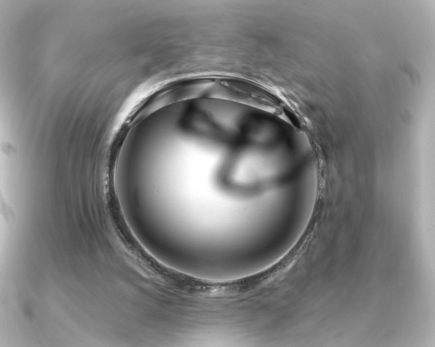 X0000091170056200708091211