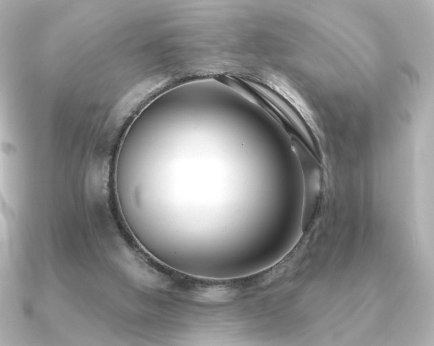 X0000091170058200708091211
