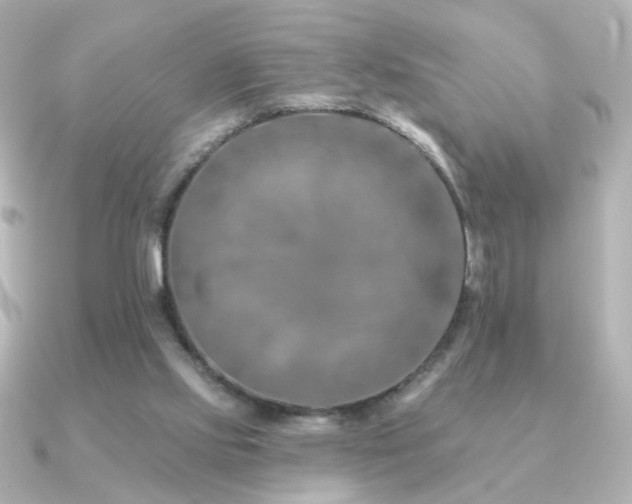 X0000091170061200708091211