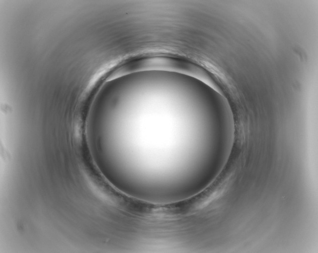X0000091170064200708091211
