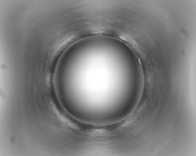 X0000091170066200708091212