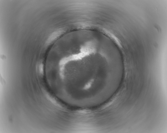 X0000091170067200708091212