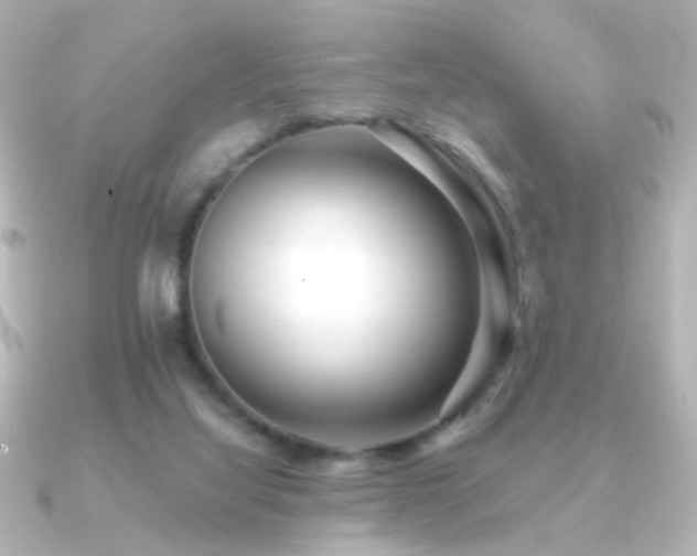X0000091170068200708091212