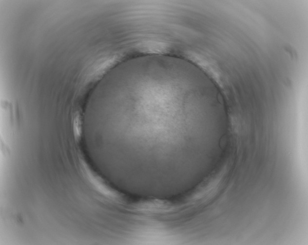 X0000091170069200708091212
