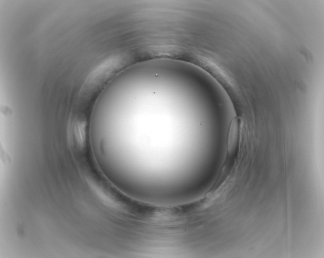 X0000091170070200708091212