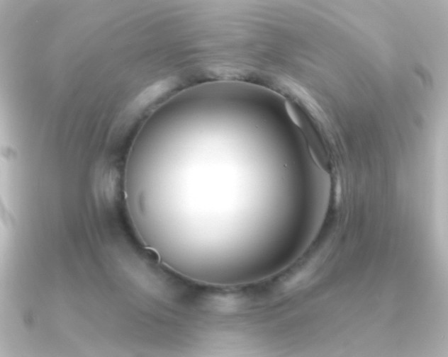 X0000091170071200708091212