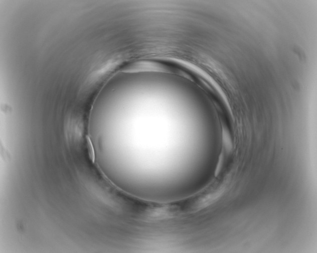 X0000091170072200708091212