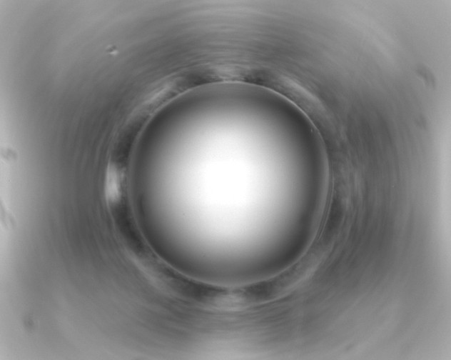 X0000091170075200708091212