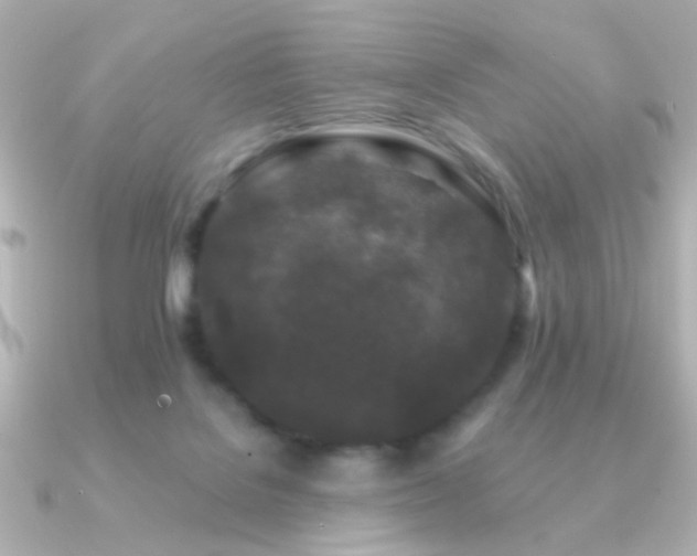 X0000091170076200708091212