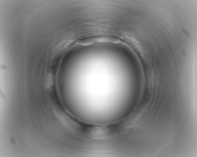 X0000091170077200708091212