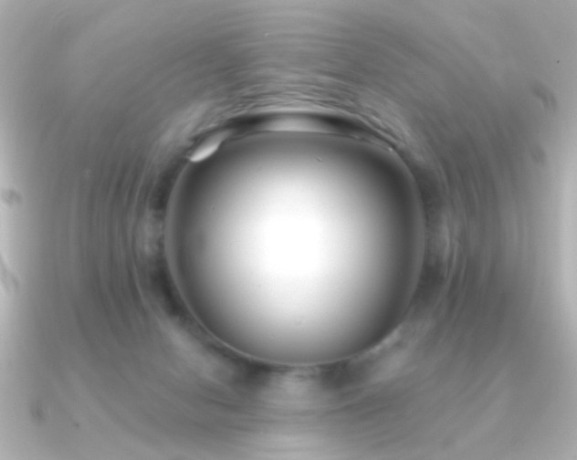 X0000091170078200708091212