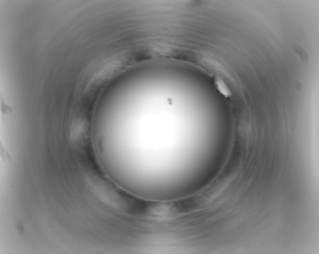 X0000091170079200708091212