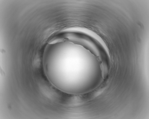 X0000091170080200708091212