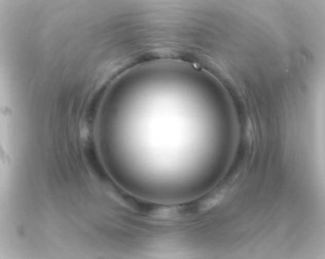X0000091170084200708091212