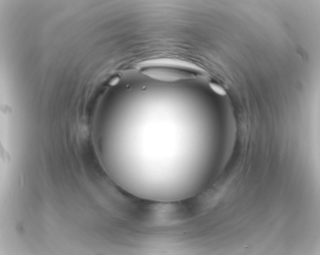 X0000091170085200708091212