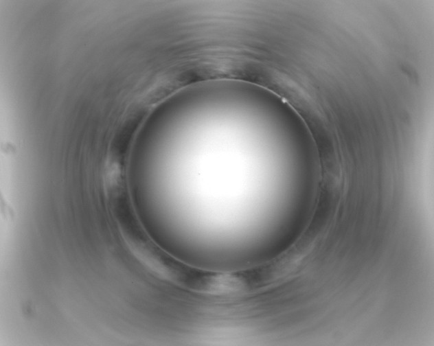 X0000091170087200708091212
