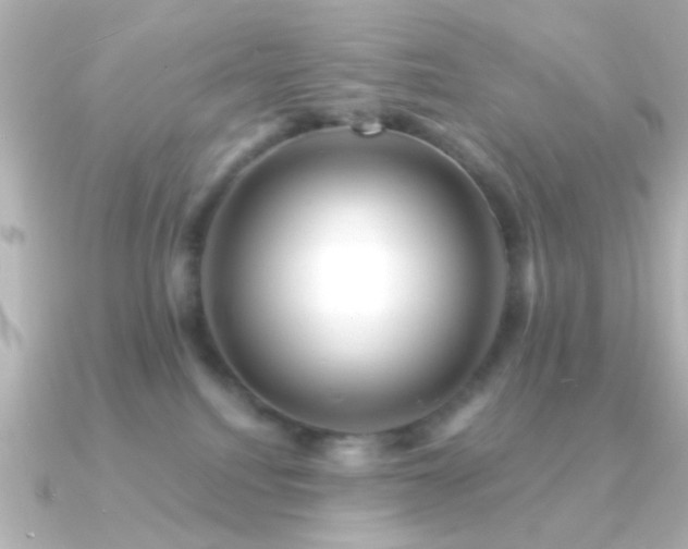 X0000091170088200708091212