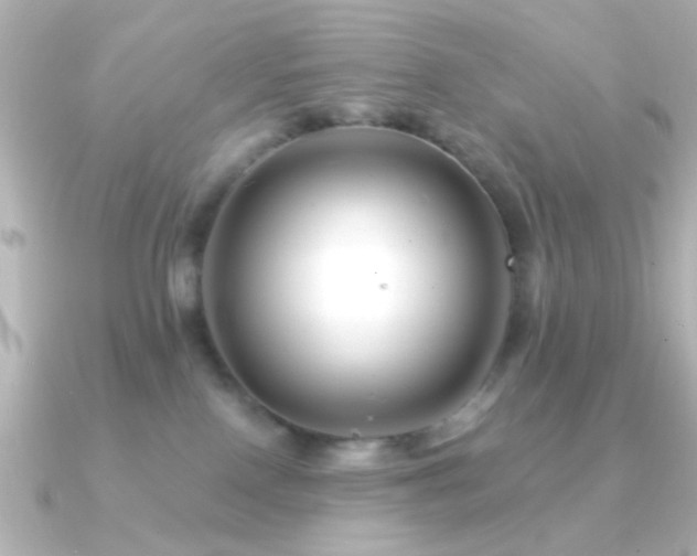 X0000091170090200708091212