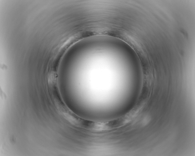 X0000091170093200708091212