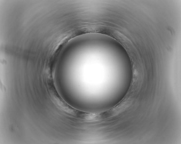X0000091170096200708091212