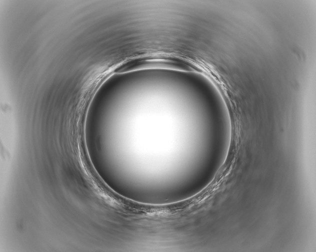 X0000091170097200708091211