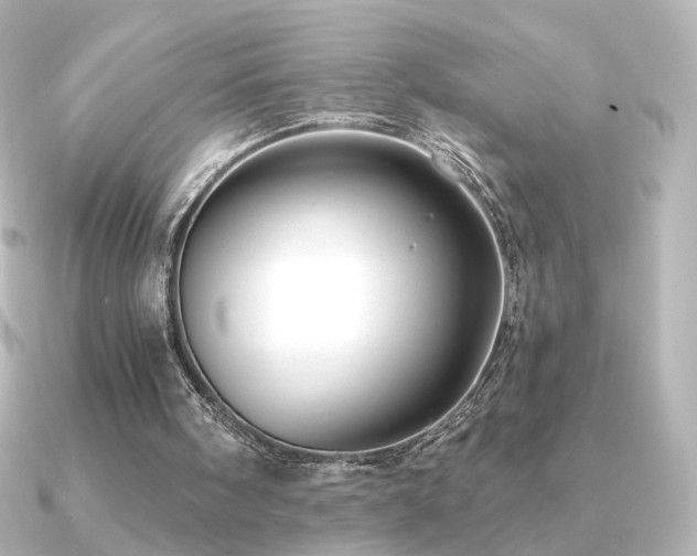 X0000091170098200708091211