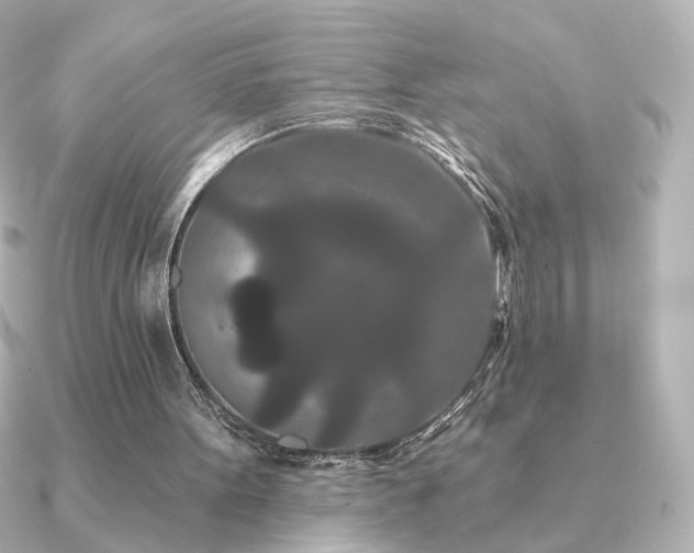 X0000091170099200708091211