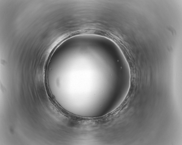 X0000091170100200708091211