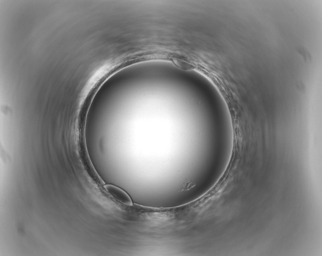 X0000091170102200708091211