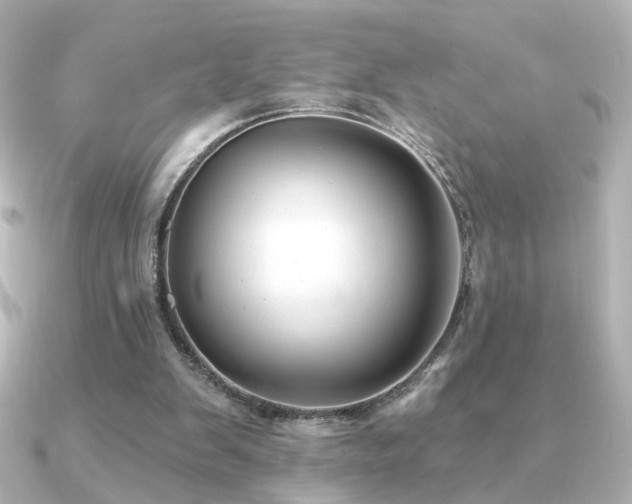 X0000091170103200708091211