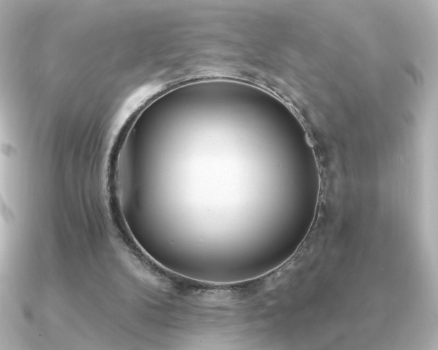 X0000091170104200708091211