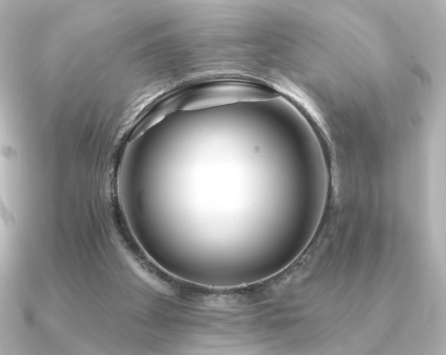 X0000091170105200708091211