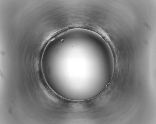 X0000091170106200708091211