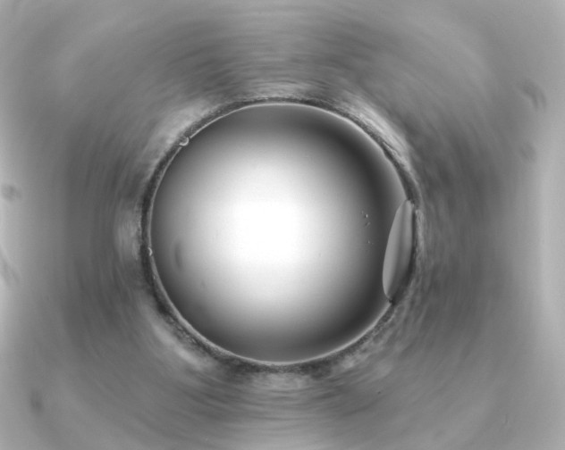 X0000091170107200708091211