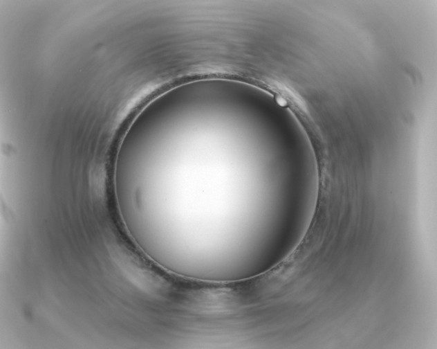 X0000091170108200708091211