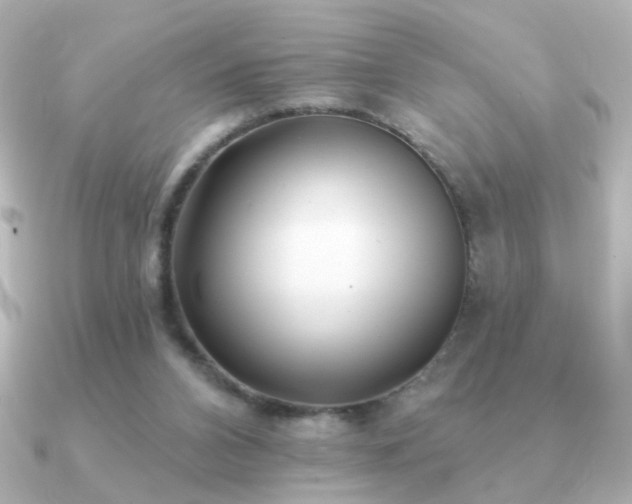 X0000091170112200708091211