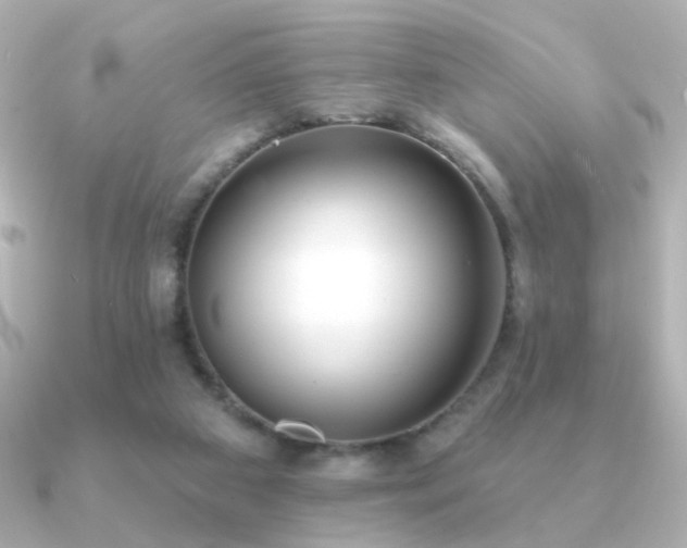 X0000091170113200708091211