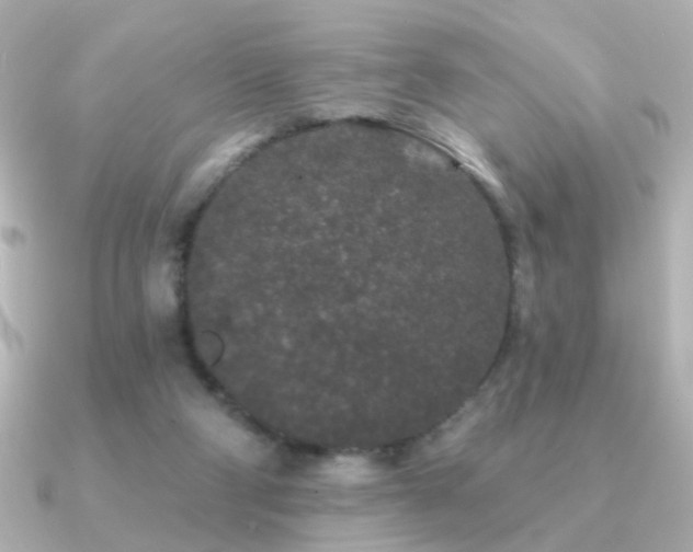 X0000091170114200708091211