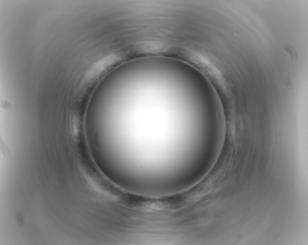 X0000091170115200708091211