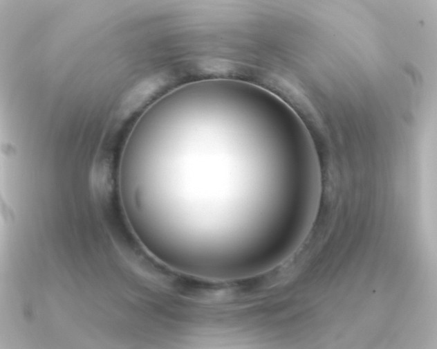 X0000091170116200708091211
