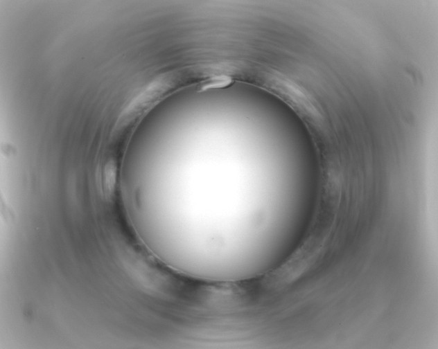 X0000091170118200708091211