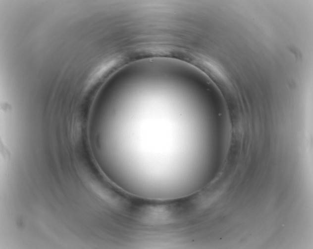 X0000091170120200708091211
