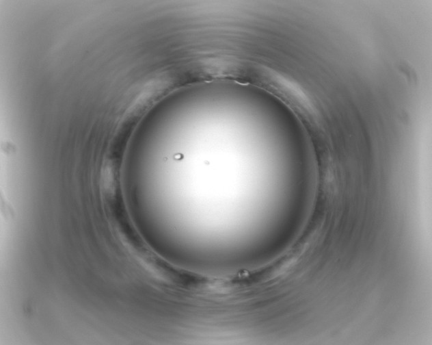 X0000091170121200708091211