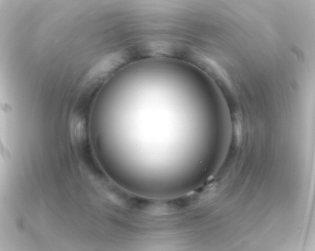 X0000091170123200708091211