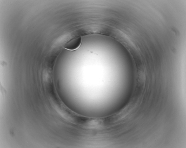 X0000091170126200708091211