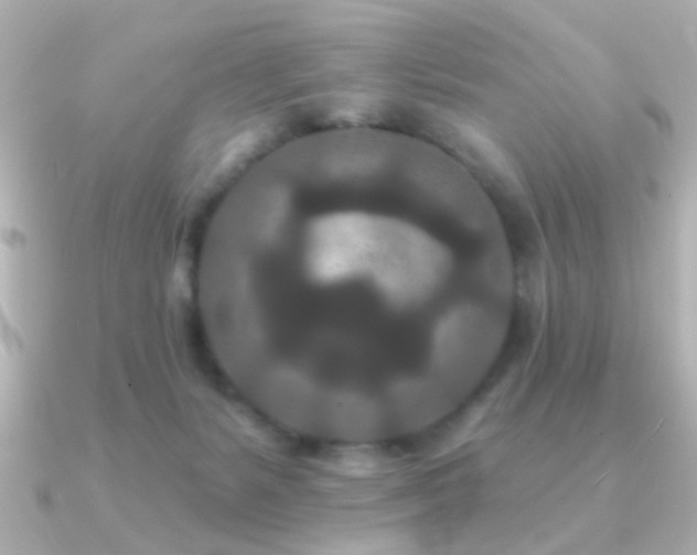 X0000091170127200708091211