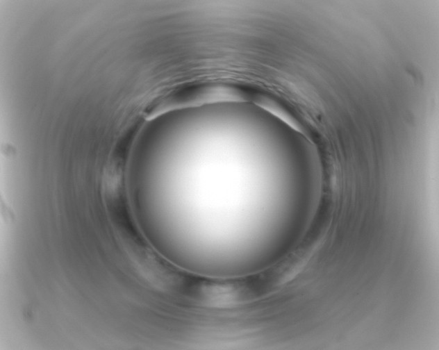 X0000091170129200708091211